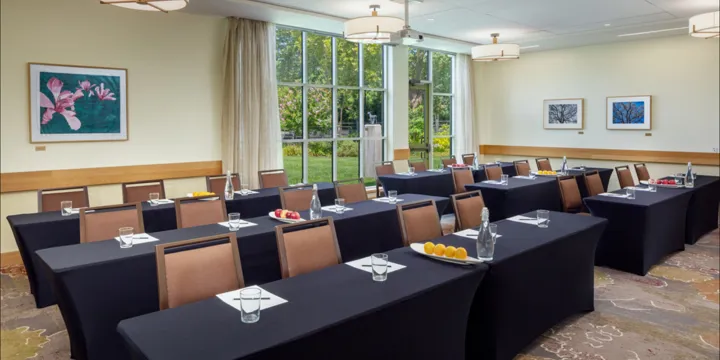 Sycamore room classroom set up