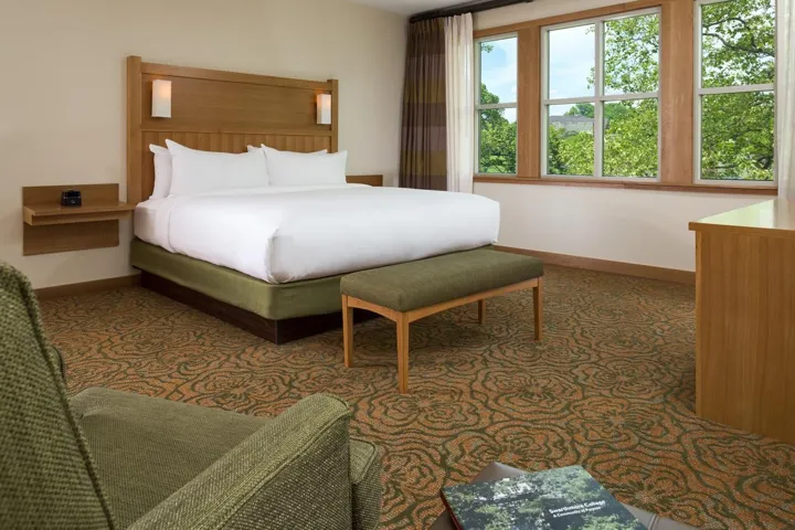 Swarthmore single queen guest room